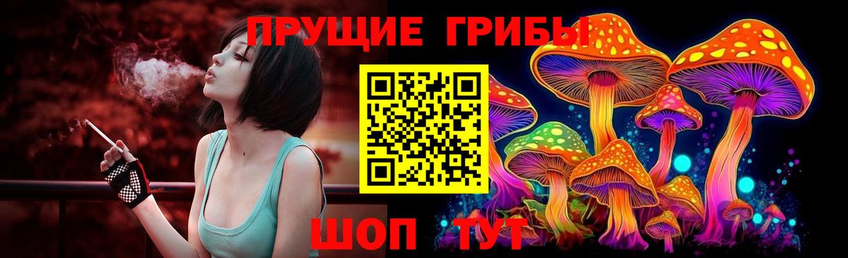 Галлюциногенные грибы Cubensis Назарово